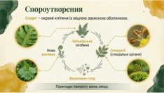 0901osov-0c32-234x132.png
