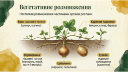 0901osp1-745d-254x143.png