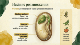 0901osp2-e3fc-266x150.png