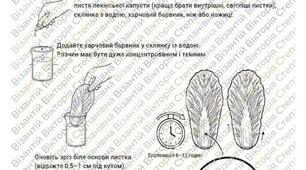 Інтерактивний дослід-розмальовка «Як рослина п'є воду? Експеримент із пекінською капустою»