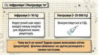 0901oteb-6884-343x193.png