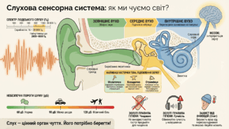 0901otev-0221-327x184.png