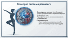 0901ott5-63f5-231x130.png