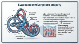 0901ott7-5c40-264x149.png