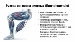 0901ottg-4123-240x135.png