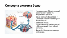 0901ottp-3864-234x132.png