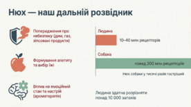 0901ou2p-b244-276x155.png