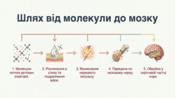 0901ou31-3f83-251x141.png