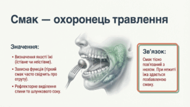 0901ou36-0ae5-277x156.png