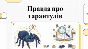 Тарантул: Дивовижне життя таємничого мисливця з нір