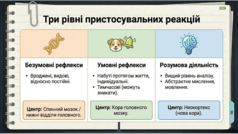 0901ov9u-312e-238x134.png
