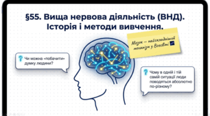 Вища нервова діяльність. Історія і методи вивчення нервової діяльності людини. 8 клас НУШ