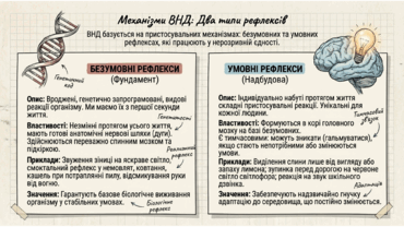 0901ovem-0d65-370x208.png