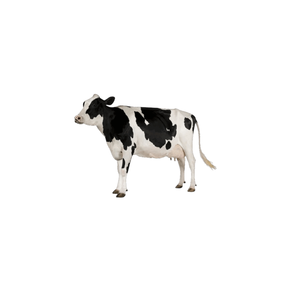 0901ovpc-bb7e-940x940.png