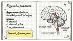 0901ovpt-6226-248x140.png