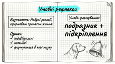 0901ovq3-641e-228x128.png