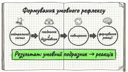 0901ovq5-09b9-255x144.png