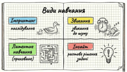 0901ovqa-41ef-258x146.png