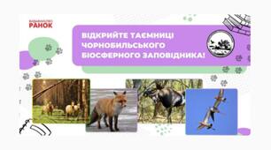 Зона відчуження чи оаза: таємниці Чорнобильського біосферного заповідника 