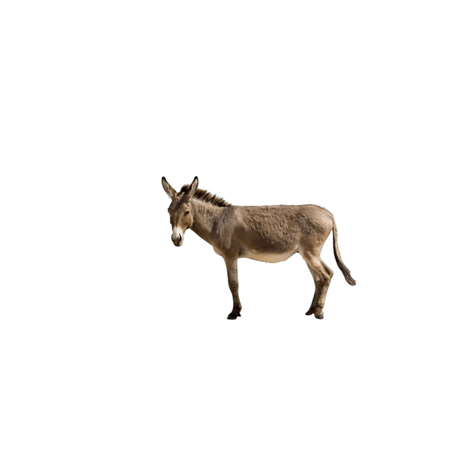 0901ow52-a9e6-940x940.png