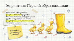 0901ow6w-49f9-255x144.png