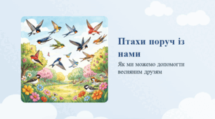 Птахи поруч із нами