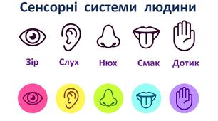 Діагностувальна робота. Сенсорні системи.