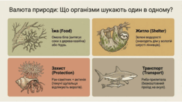 0901oxzf-4a44-262x147.png
