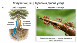 0901oxzg-e717-251x141.png