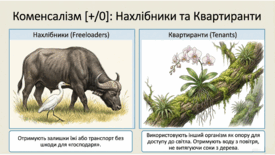 0901oxzh-2e59-275x155.png