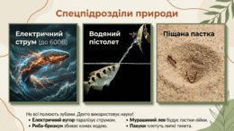 0901oxzw-521d-260x146.png