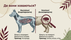 0901oxzz-abb1-270x152.png