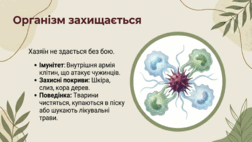 0901oy01-fc0d-252x142.png