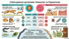 0901oy03-55d0-266x150.png