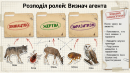 0901oy0g-3c17-259x146.png