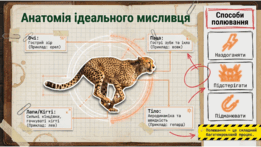 0901oy0j-9dbf-261x147.png