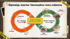 0901oy0l-977d-247x139.png