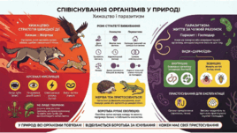 0901oy0u-9957-268x151.png
