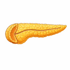 0901oyur-ddc4-428x428.png