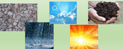 0901p0ge-1c31-516x208.png