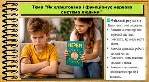 Як влаштована і функціонує нервова система людини. 6 клас. Пізнаємо природу. За підручником авторів Коршевнюк Т. та інші.