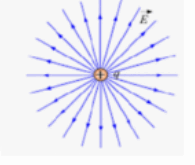 0901p151-81de-195x165.png