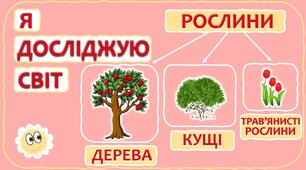 Презентація  "Дерева, кущі, трави" для учнів початкової ланки 2