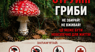 Отруйні гриби»
