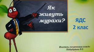 Презентація ЯДС 2 клас, " Як живуть мурашки"