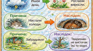 Плакат "Причиново-наслідкові зв’язки в природі"