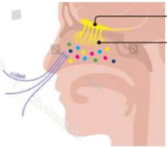 0901p5n2-e8ab-242x215.png