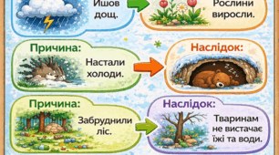 Пазл "Причиново-наслідкові зв’язки в природі" 6 елементів