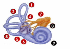 0901p6b3-eaca-286x199.png