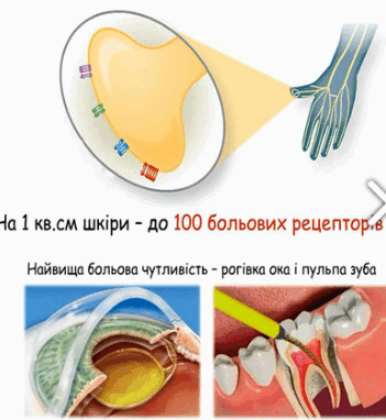 0901p6i4-f52f-351x382.png